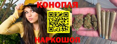 Альфа ПВП Малоярославец