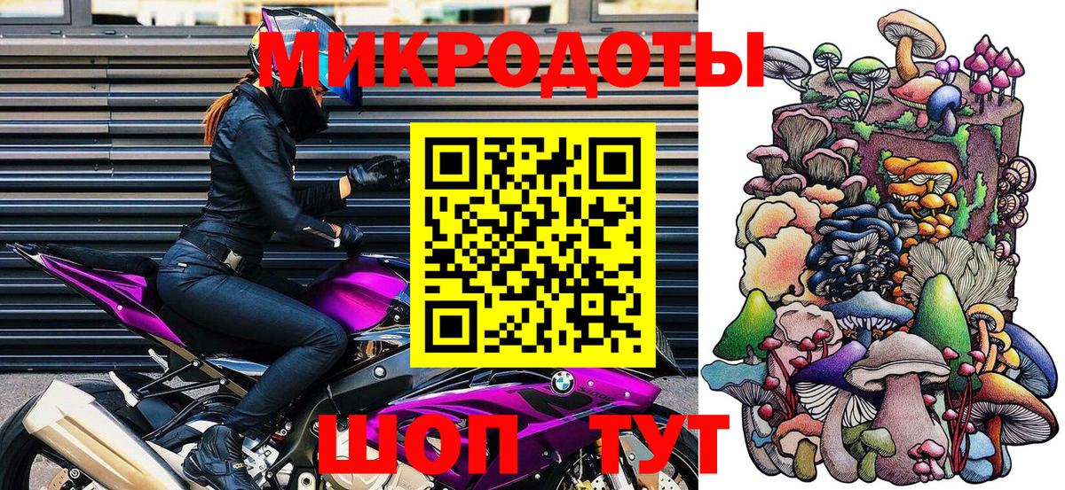 Галлюциногенные грибы Psilocybe  Вход с VPN  Электрогорск 