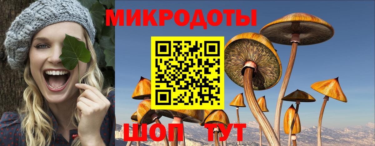 Псилоцибиновые грибы GOLDEN TEACHER Электрогорск